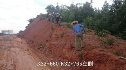 長沙東日園林工程有限公司,長沙園林綠化工程,長沙綠化養(yǎng)護(hù)管理